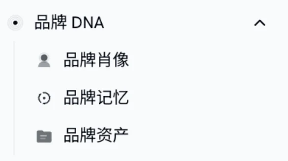 品牌 DNA 管理：品牌肖像、品牌记忆、品牌资产三个入口